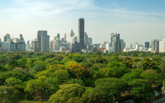 Public park and high-rise buildings cityscape in metropolis city center . Green environment city and downtown business district in panoramic view .